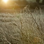 Meath Wedding photographer