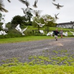 meath wedding photographer