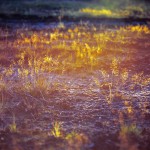 landscape-photographer-meath